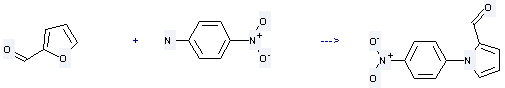 4-Nitroaniline can be used to produce 1-(4-nitro-phenyl)-pyrrole-2-carbaldehyde by reaction with furfural.